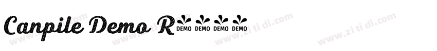 Canpile Demo R字体转换